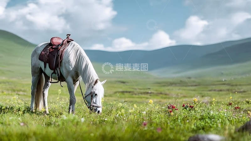 高清大图下载【趣麦麦图】草原白马悠闲吃草