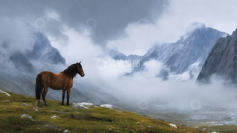 高清大图下载【趣麦麦图】山野骏马云雾景观