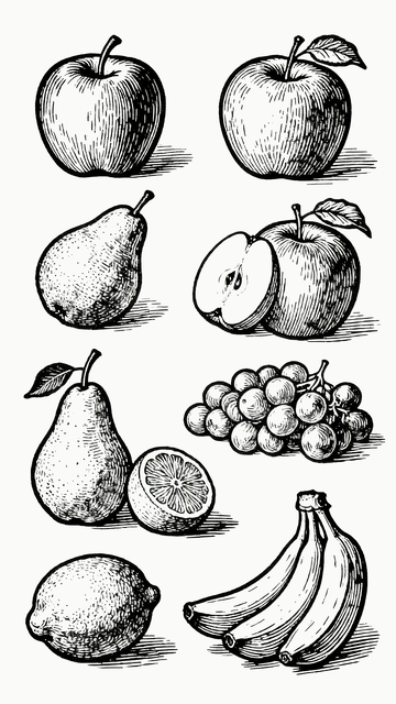 版画风格白描水果插画4