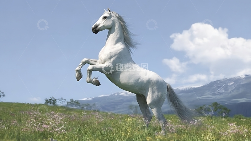 高清大图下载【趣麦麦图】骏马草原风光摄影图
