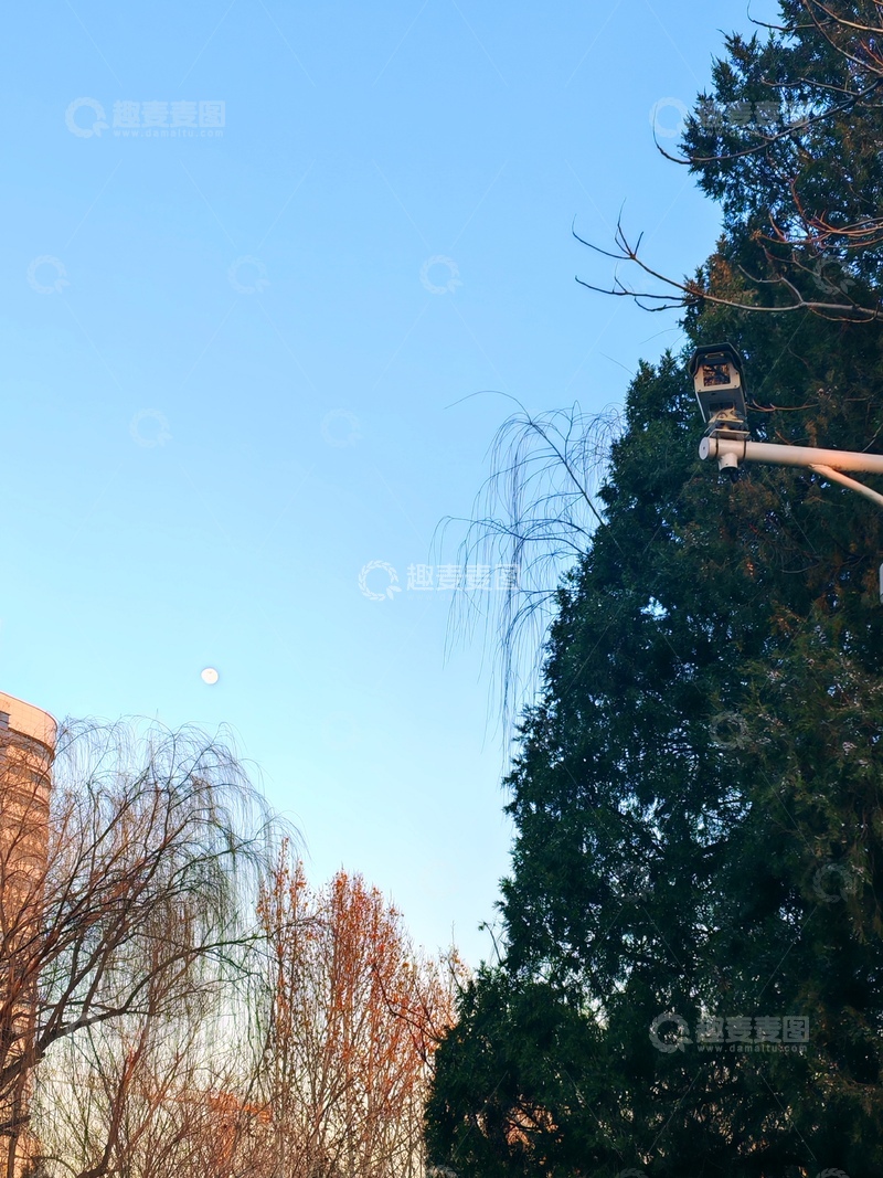 高清大图下载【趣麦麦图】城市秋景路灯与月