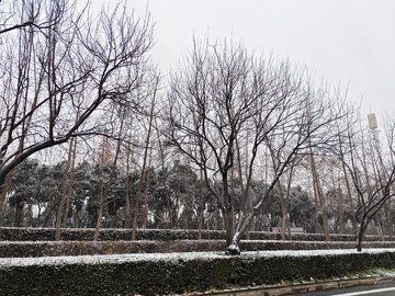 下雪的城市街道