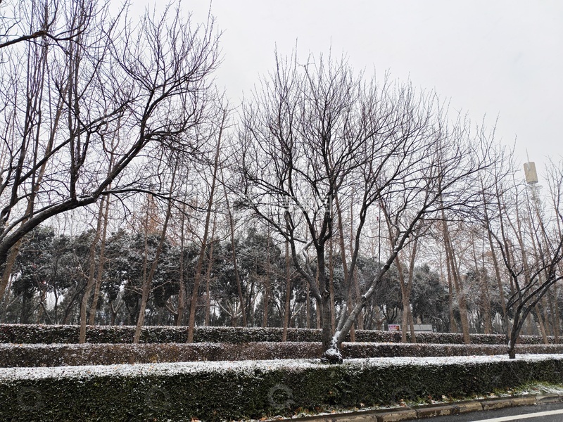 高清大图下载【趣麦麦图】下雪的城市街道