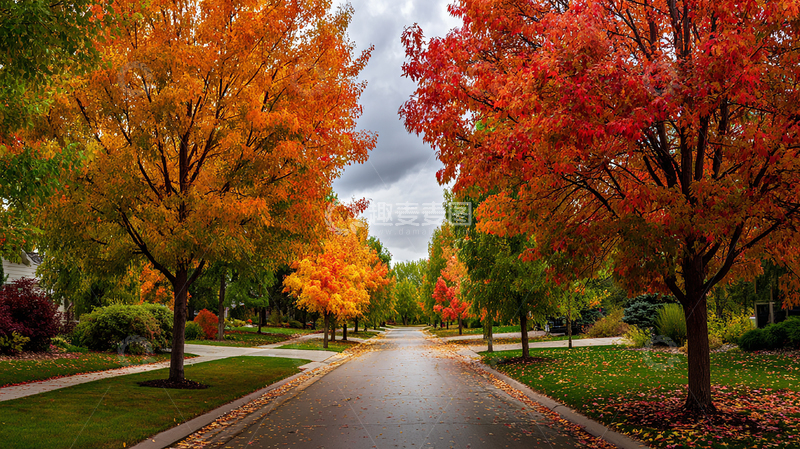 高清大图下载【趣麦麦图】秋日街道五彩斑斓