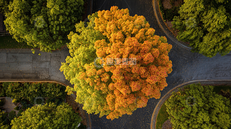 高清大图下载【趣麦麦图】秋日彩叶缤纷景观