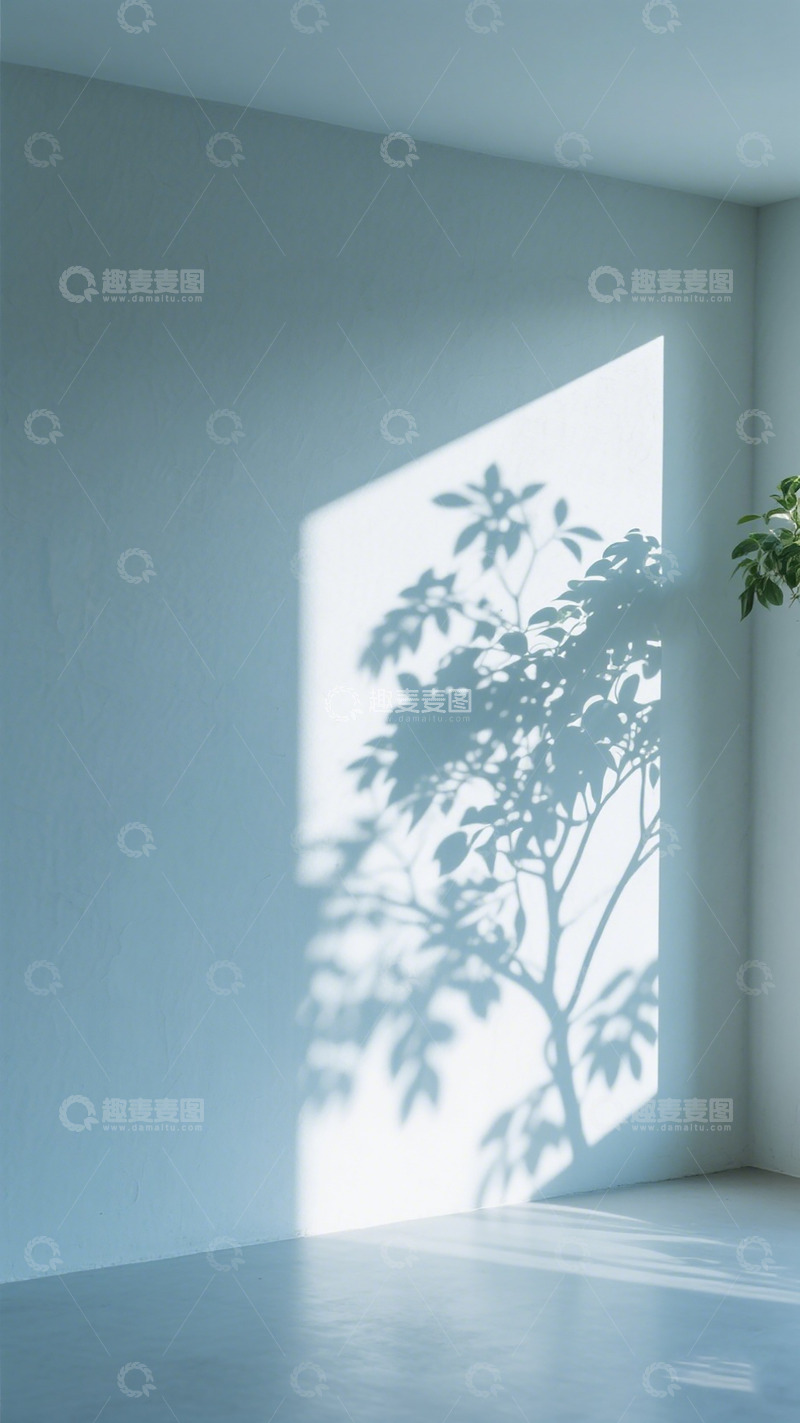 高清大图下载【趣麦麦图】光影艺术简约室内植物装饰