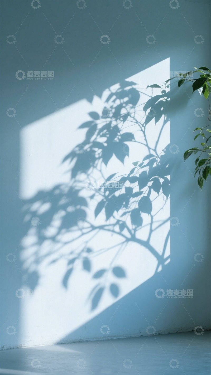 高清大图下载【趣麦麦图】光影植物墙面艺术效果