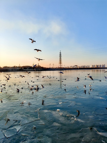 冰湖飞鸟城市天际线