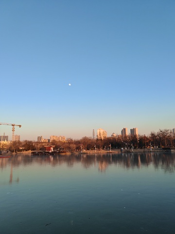 城市湖畔月夜风光