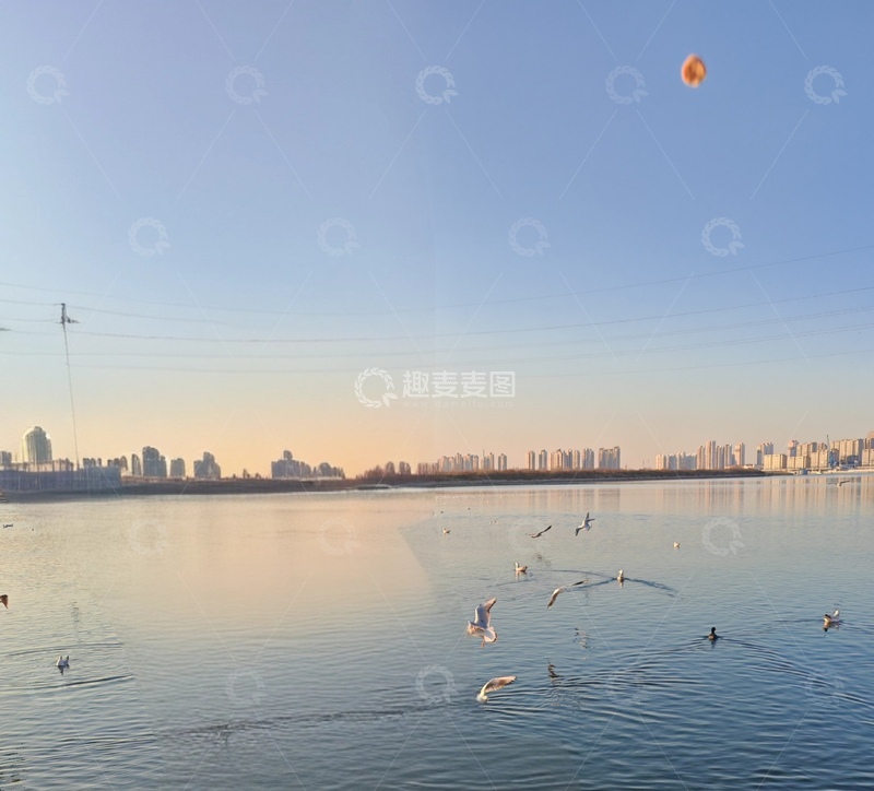 高清大图下载【趣麦麦图】湖畔城市海鸥飞翔