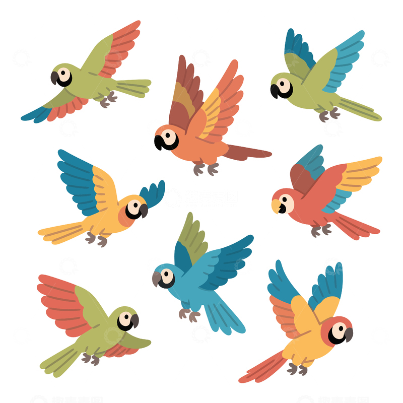 源文件下载【趣麦麦图】卡通鹦鹉飞行合集插画