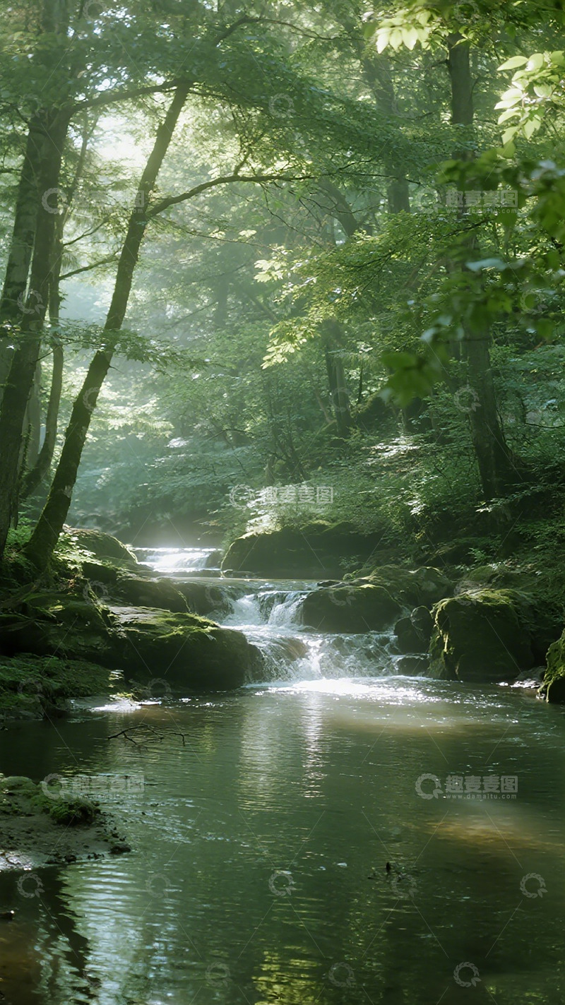 高清大图下载【趣麦麦图】森林溪流自然风光摄影