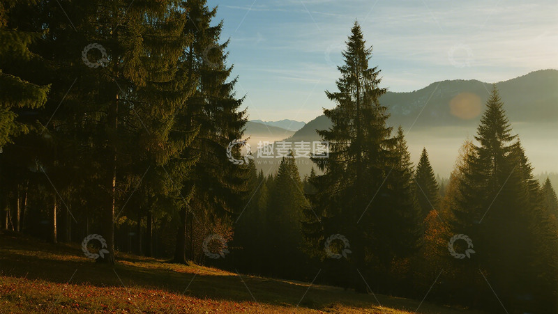 高清大图下载【趣麦麦图】森林晨曦风景摄影