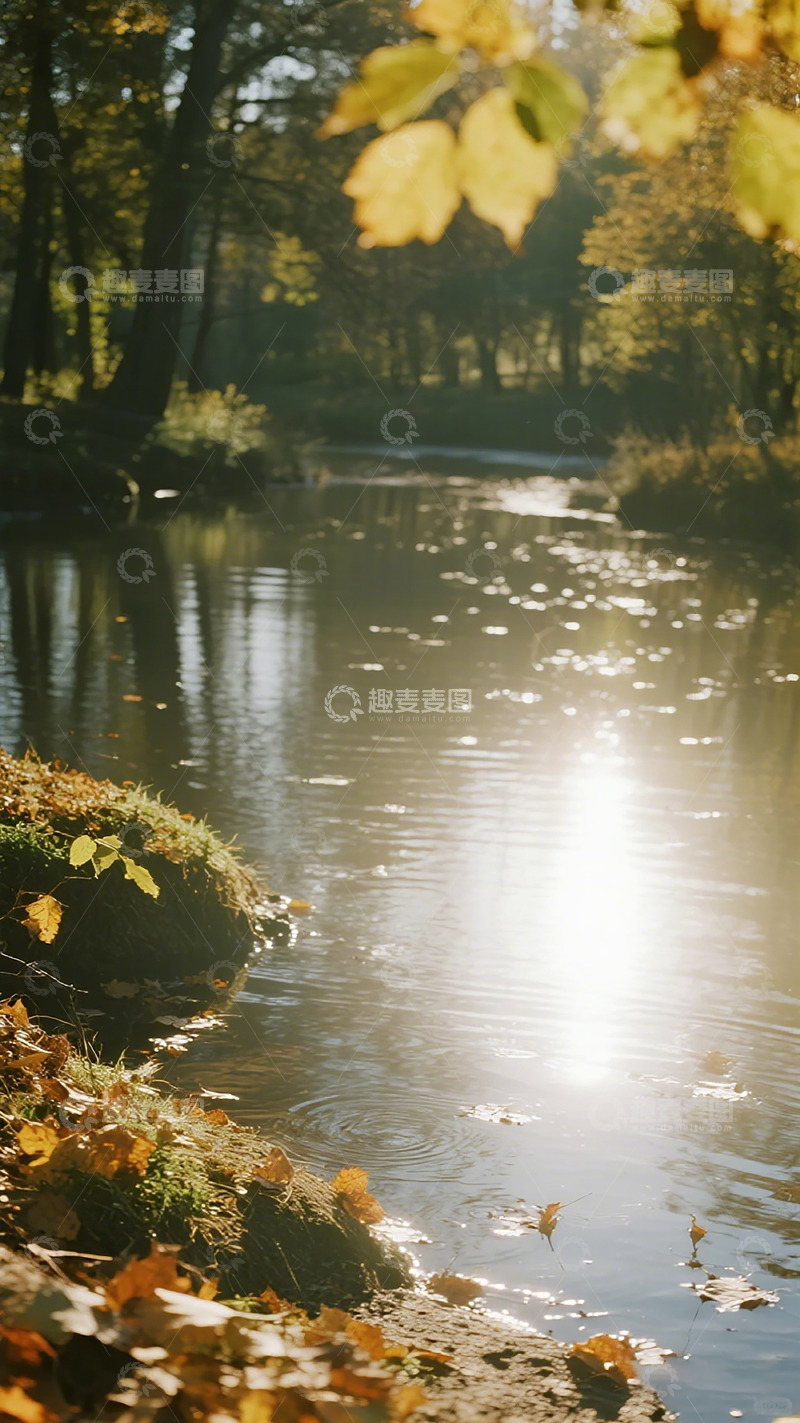 高清大图下载【趣麦麦图】秋日溪畔风光摄影