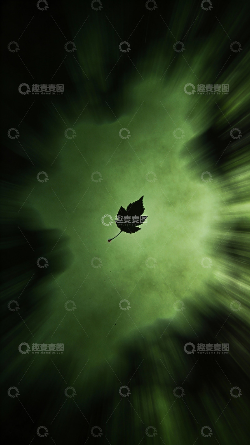 高清大图下载【趣麦麦图】绿意枫叶梦幻艺术照