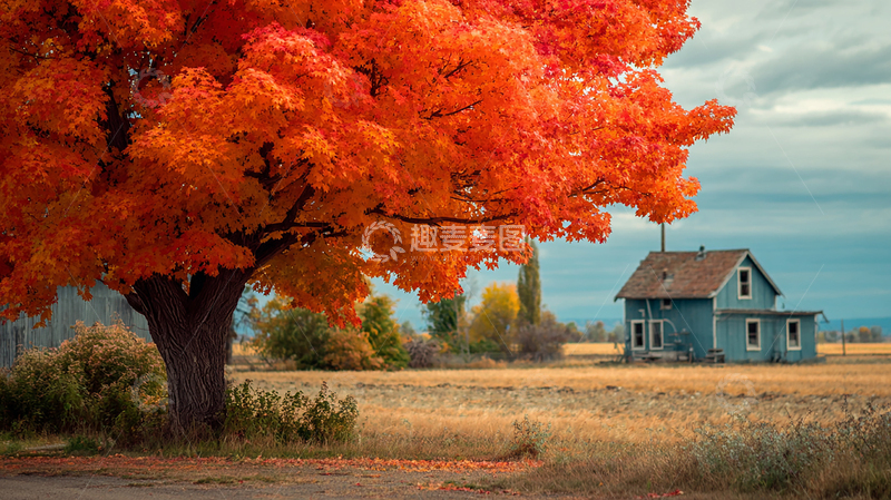 高清大图下载【趣麦麦图】红叶映衬的孤独小屋