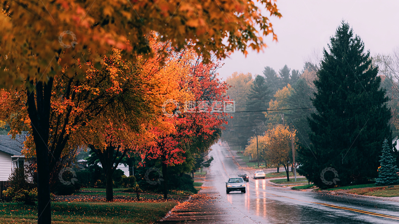 高清大图下载【趣麦麦图】秋日街道彩叶纷飞
