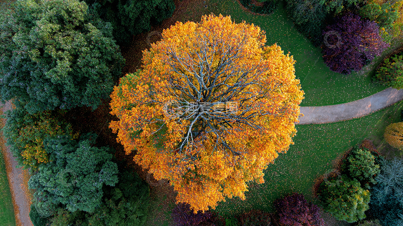 高清大图下载【趣麦麦图】秋季彩叶的奇幻世界