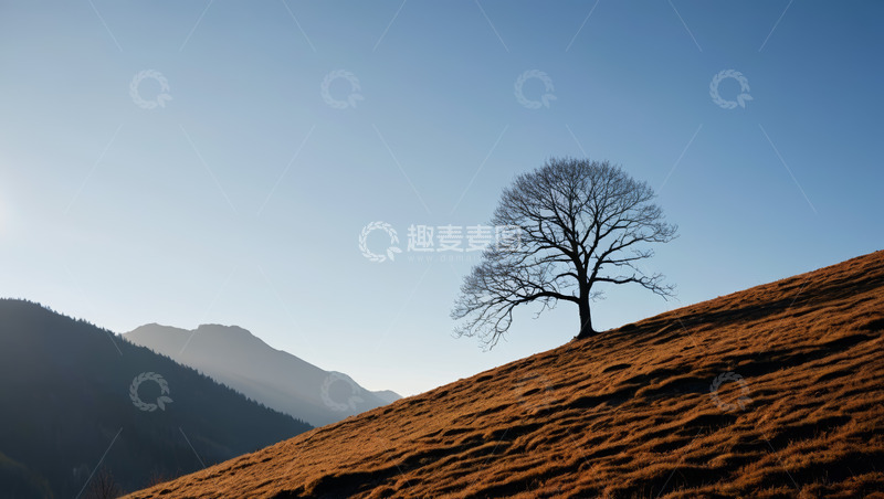 高清大图下载【趣麦麦图】山坡上的孤树与远山景观