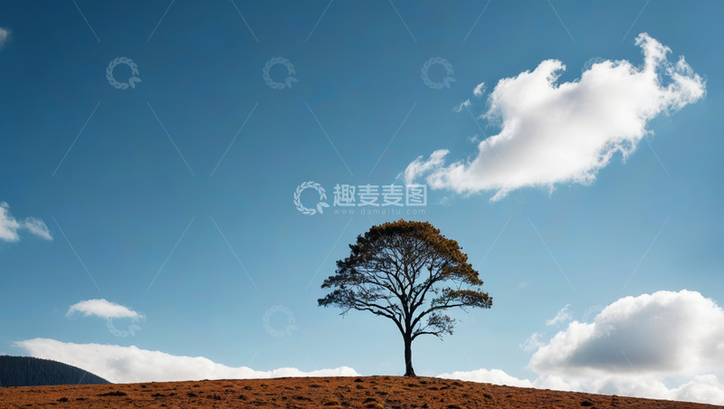高清大图下载【趣麦麦图】蓝天下孤树与白云的自然景观