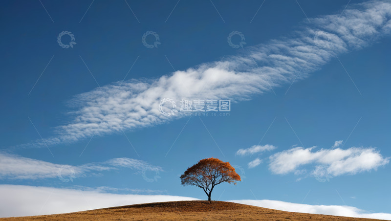 高清大图下载【趣麦麦图】蓝天下孤树立于山丘