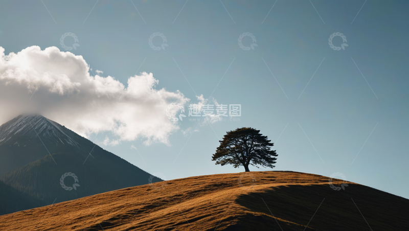 高清大图下载【趣麦麦图】山丘上孤树与远山风景