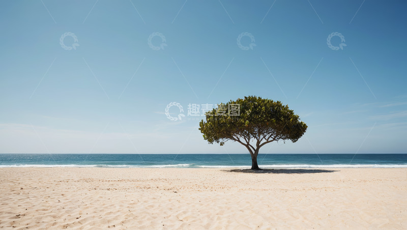 高清大图下载【趣麦麦图】海滩上的孤树与海洋景观