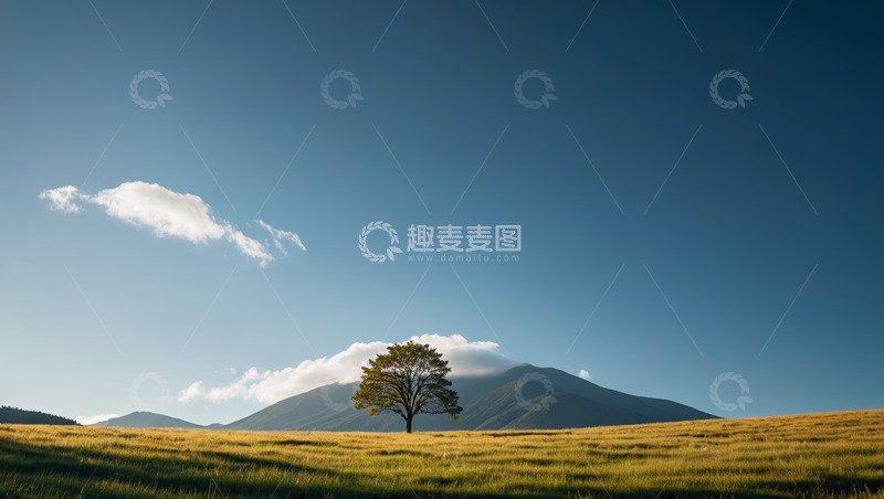 高清大图下载【趣麦麦图】草原上一棵孤树与远山蓝天