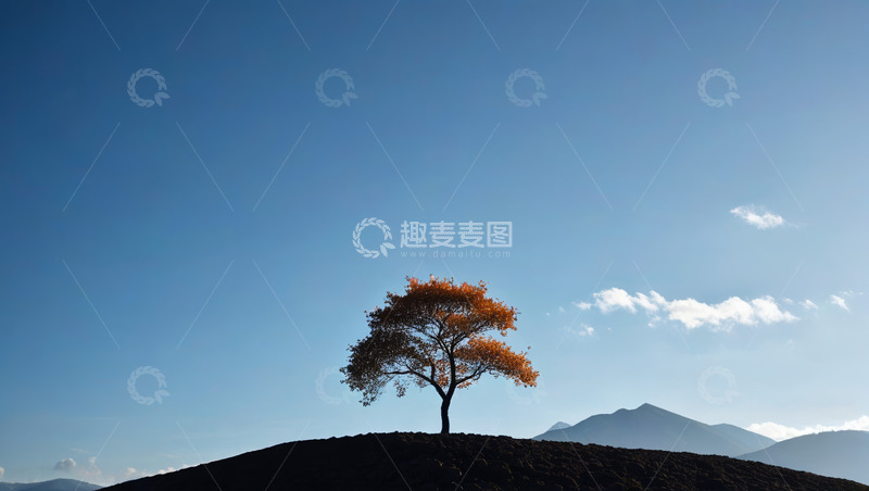 高清大图下载【趣麦麦图】山丘上树木与蓝天远景