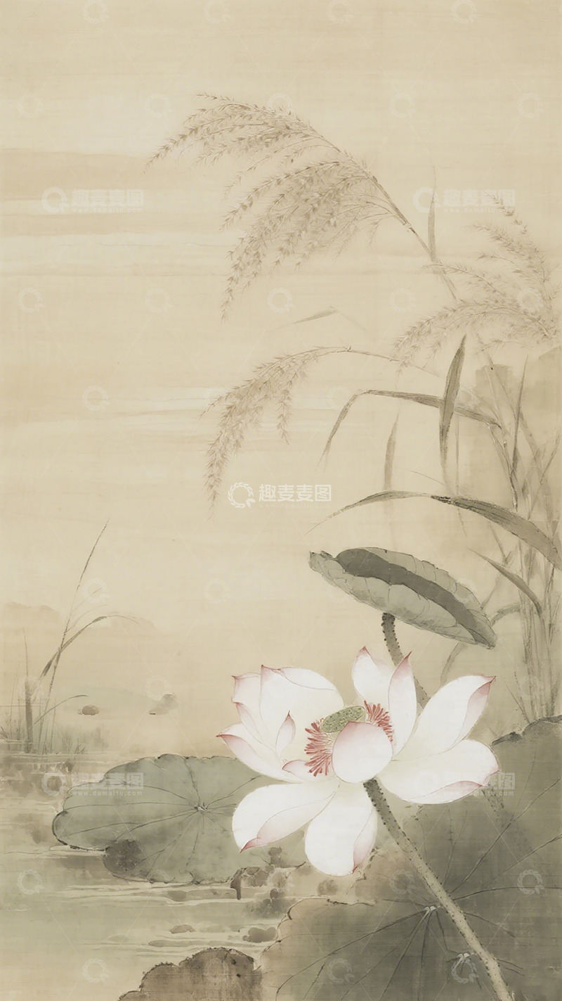高清大图下载【趣麦麦图】国画荷花芦苇水墨画