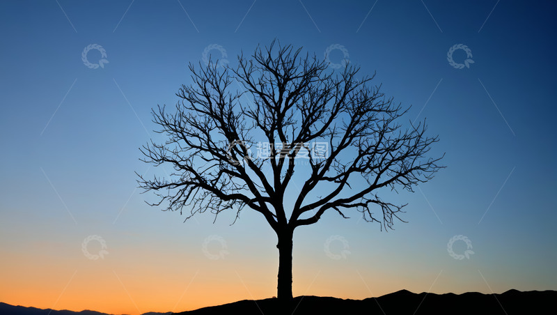 高清大图下载【趣麦麦图】黄昏时孤树立于山丘