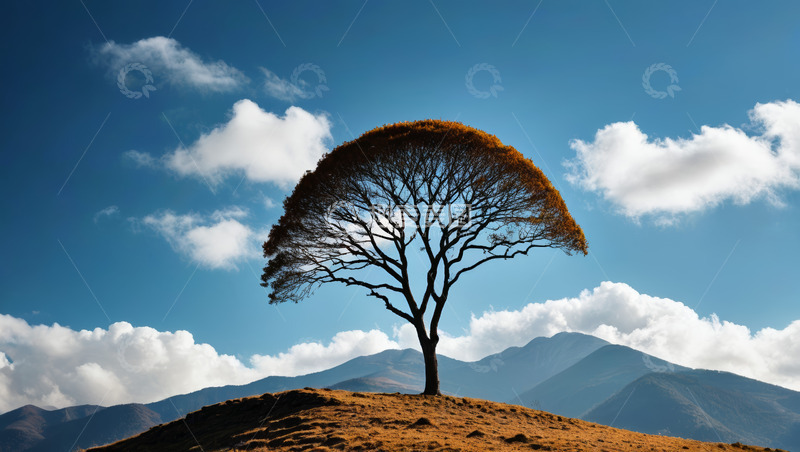 高清大图下载【趣麦麦图】山丘上孤树与蓝天白云背景