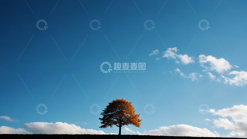 高清大图下载【趣麦麦图】蓝天下孤树立于地平线