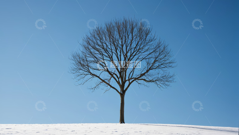 高清大图下载【趣麦麦图】雪地上单棵树木与蓝天景象