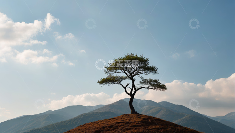 高清大图下载【趣麦麦图】山顶孤树与远山风景