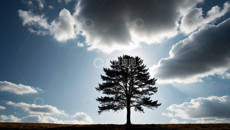 高清大图下载【趣麦麦图】蓝天白云下的独立树木