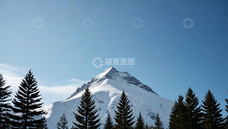 高清大图下载【趣麦麦图】雪山下的针叶林自然景观