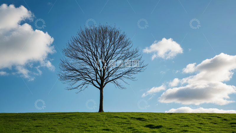 高清大图下载【趣麦麦图】草地孤树与蓝天白云自然景象