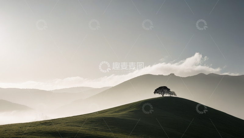 高清大图下载【趣麦麦图】山丘上的孤树自然风光