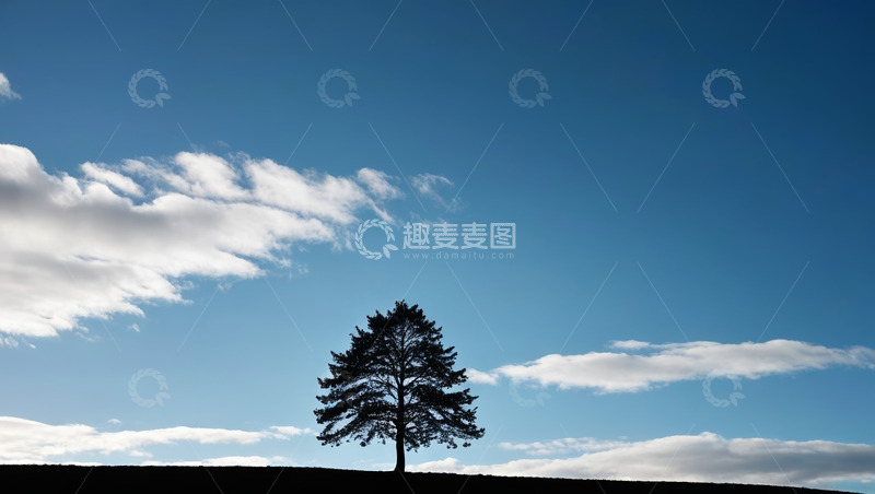 高清大图下载【趣麦麦图】蓝天下独立的树木风景
