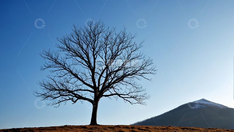 高清大图下载【趣麦麦图】旷野孤树与远山蓝天景致