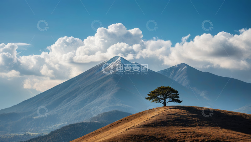 高清大图下载【趣麦麦图】山巅孤树与远山云海景观