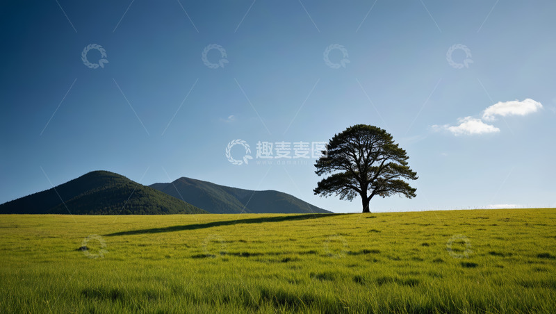 高清大图下载【趣麦麦图】草原上的孤树与远山风景