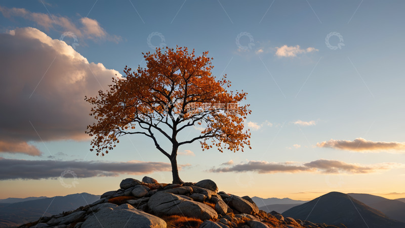 高清大图下载【趣麦麦图】山顶孤树与黄昏天空景观