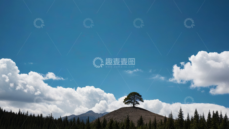 高清大图下载【趣麦麦图】山顶孤树与蓝天白云自然景观