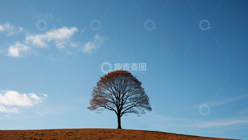 高清大图下载【趣麦麦图】蓝天下孤树立于山丘之上
