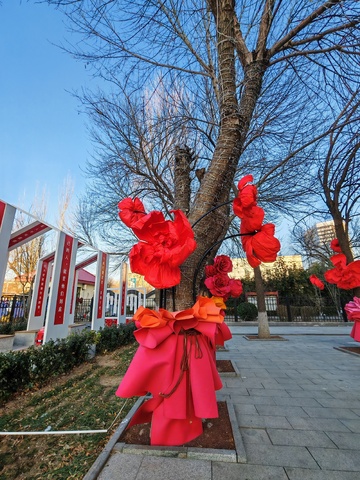 节庆红色装饰树城市景观
