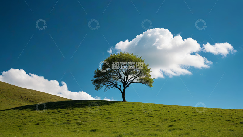 高清大图下载【趣麦麦图】草原上孤独的树与蓝天白云