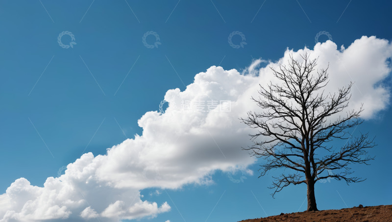 高清大图下载【趣麦麦图】蓝天下孤树与白云景观