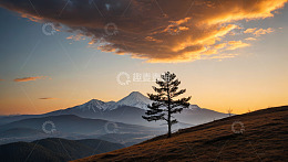 山坡孤树与远处雪山黄昏景象